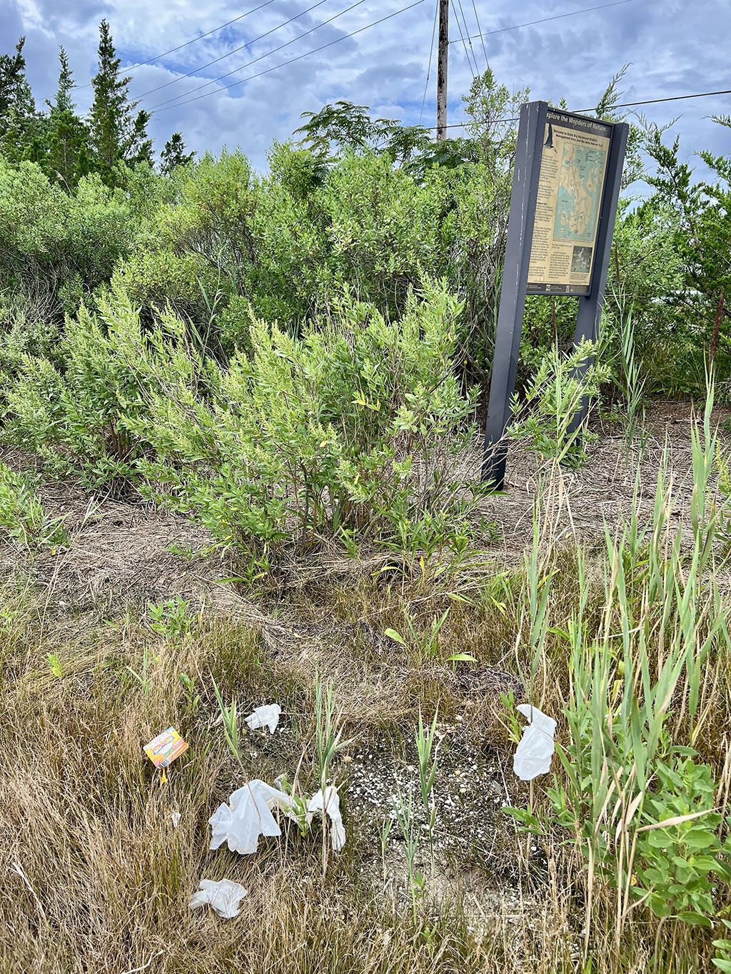 1024-C4035D24-808E-4098-9CE7-D68FF5CB1213IMG_3308